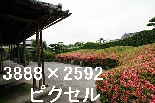 62