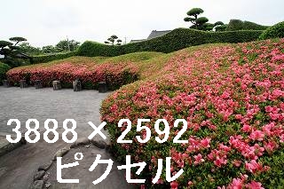 64