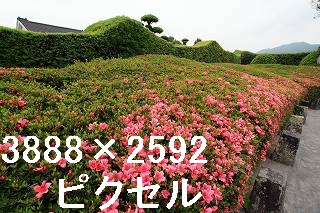 66