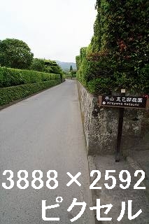 73