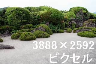 81