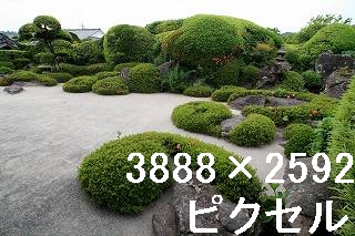 83