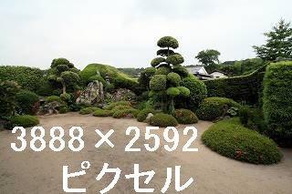 91