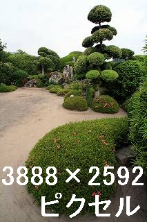 94
