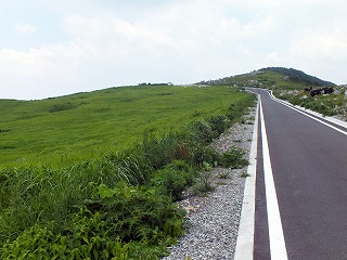 36