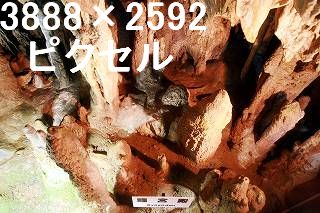 41
