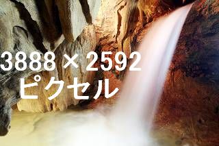 49