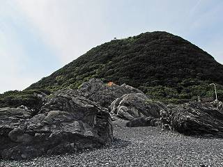33