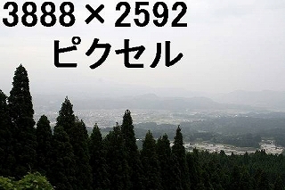 26