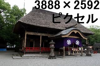 29