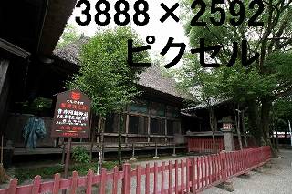 36