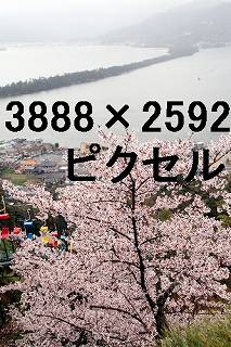 34