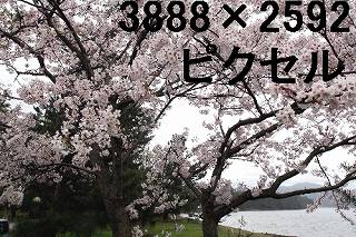 46