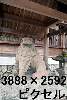 51