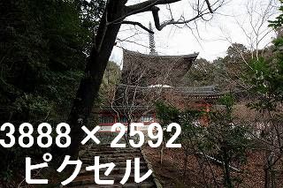 49
