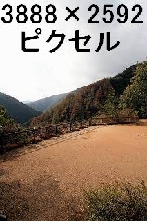 64