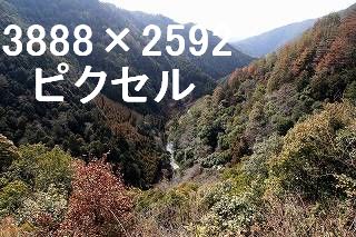 65