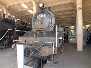 65