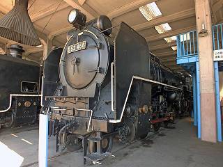 81