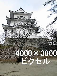 36