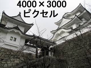 56