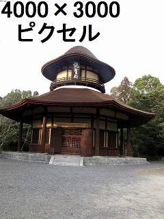 26