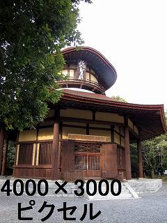 30