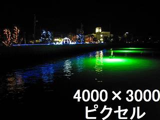 40