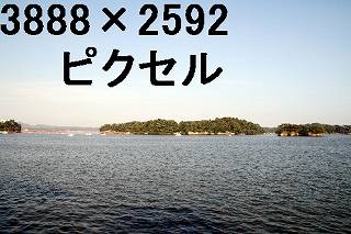 42