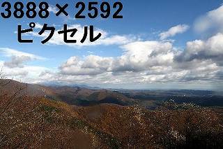 36