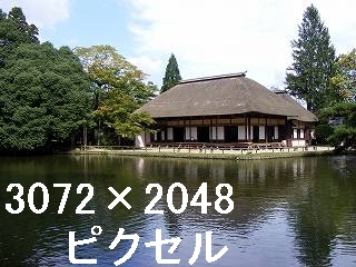 29