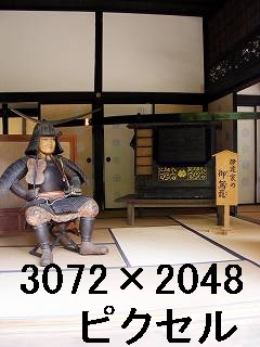 40