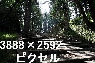 74