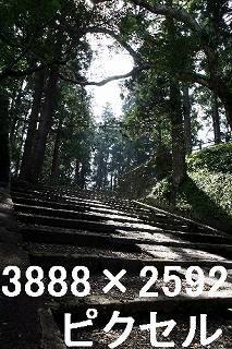75