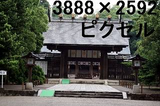 32