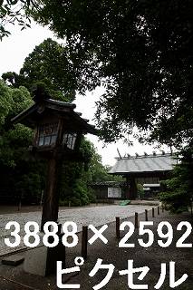 38