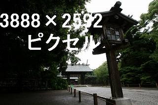 39