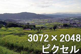 26