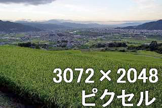 37