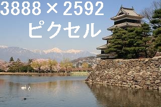 29