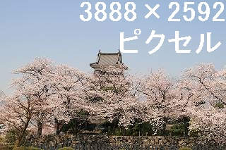 42