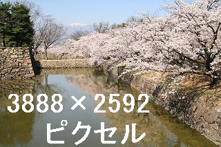 43