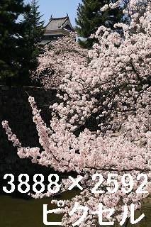 49