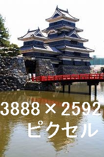 53