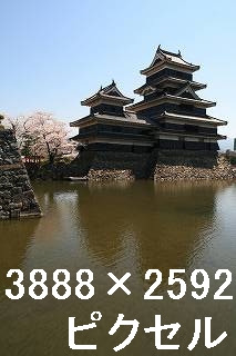 58