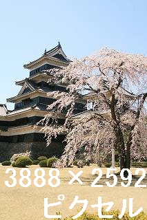63