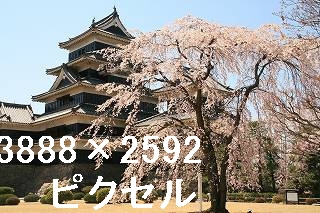 64