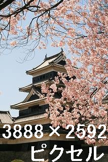66