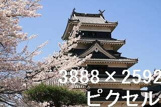 82