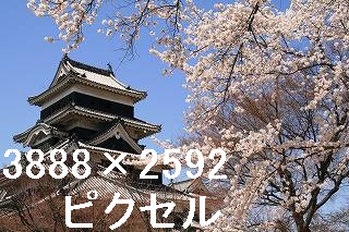 83